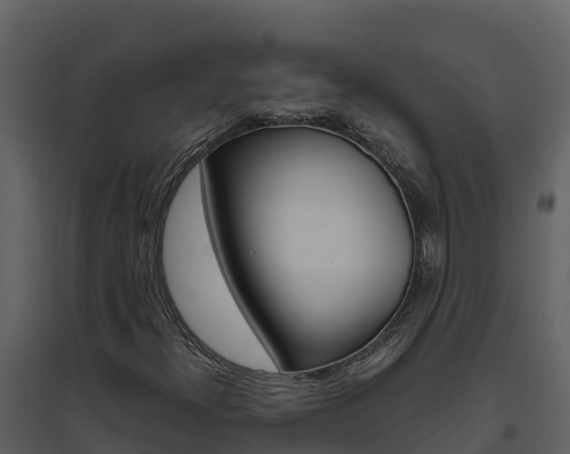 X0000094801300200711160930