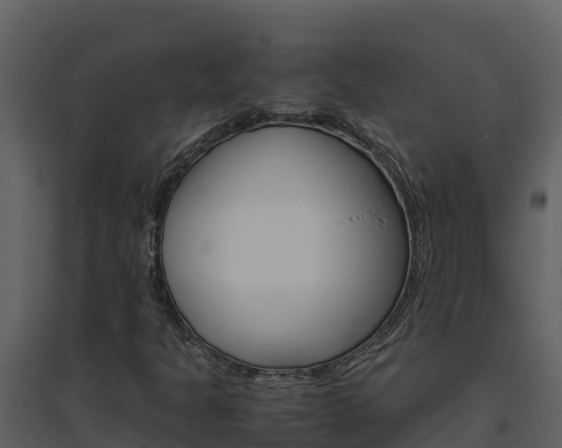 X0000094801301200711160930