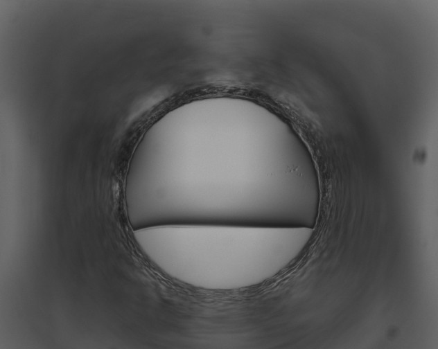 X0000094801302200711160930