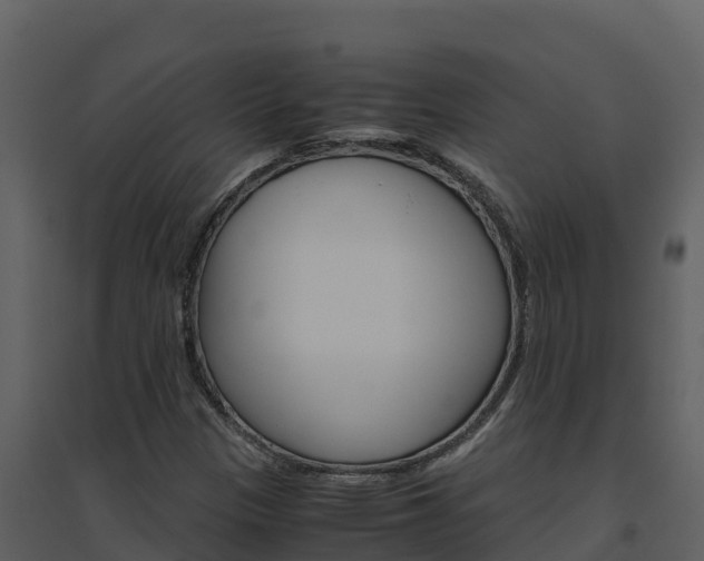 X0000094801305200711160931