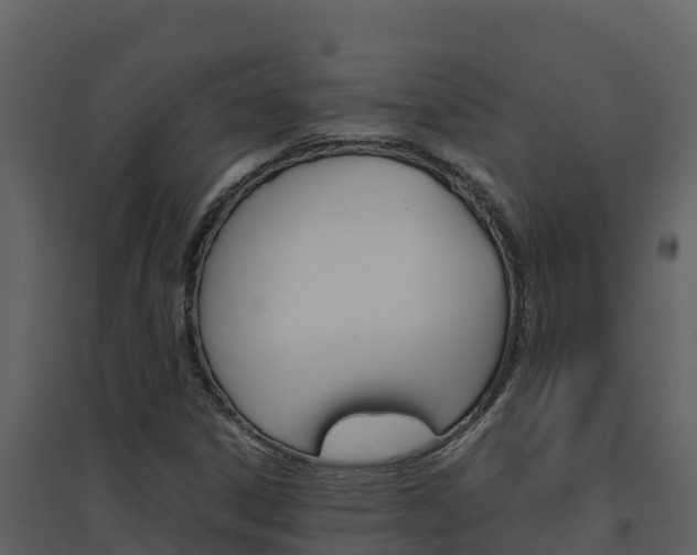 X0000094801306200711160931