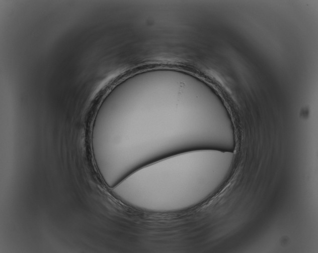 X0000094801307200711160931