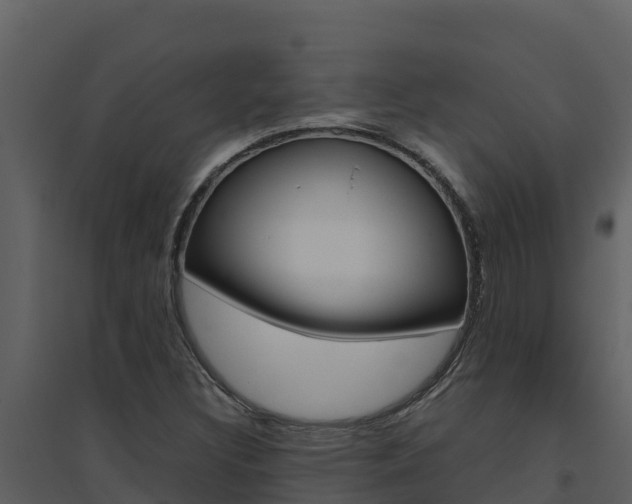 X0000094801308200711160931