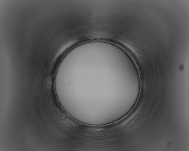 X0000094801309200711160931
