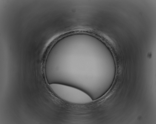 X0000094801310200711160931