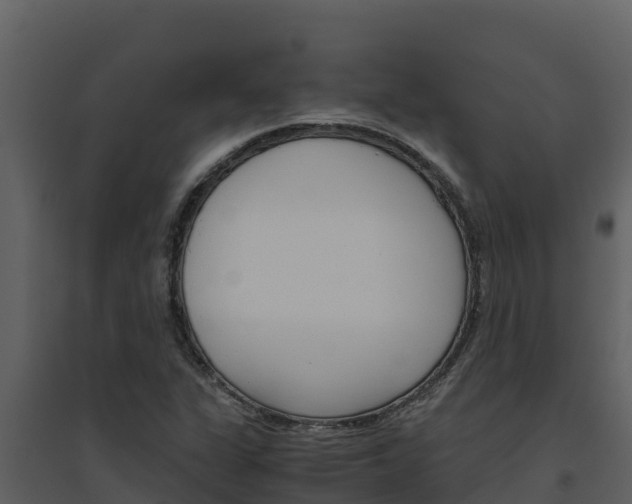 X0000094801311200711160931