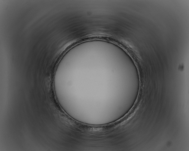 X0000094801313200711160931