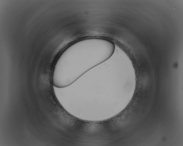 X0000094801314200711160931