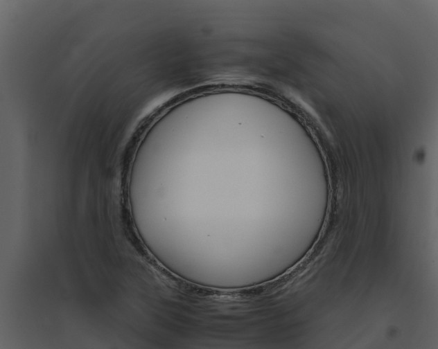 X0000094801315200711160931