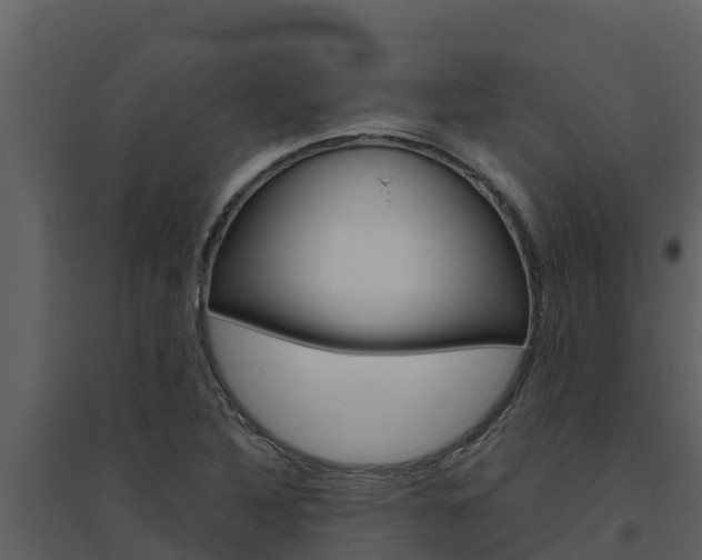X0000094801316200711160931