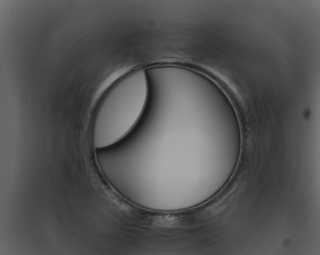 X0000094801317200711160931