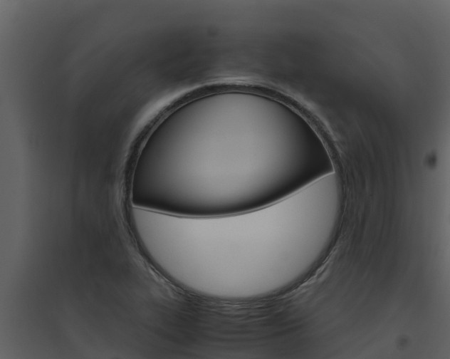 X0000094801319200711160931
