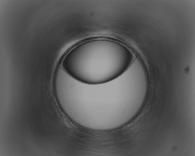 X0000094801320200711160931