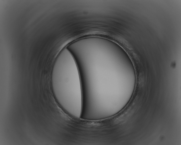 X0000094801321200711160931