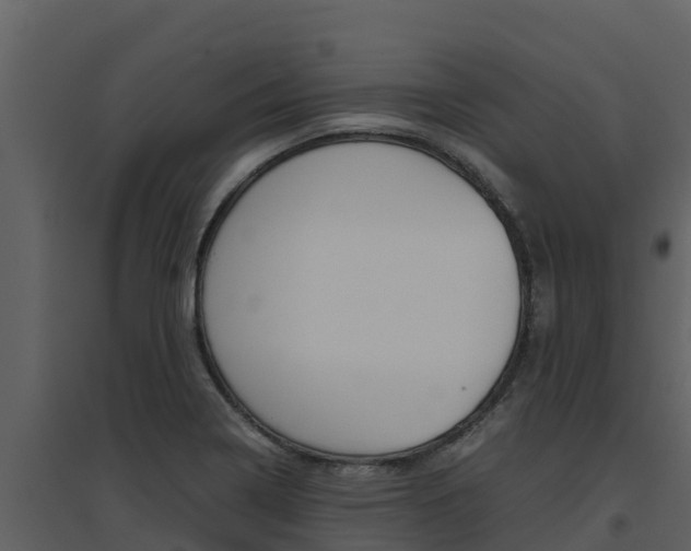 X0000094801322200711160931
