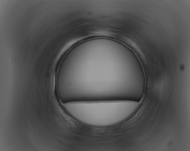 X0000094801323200711160931