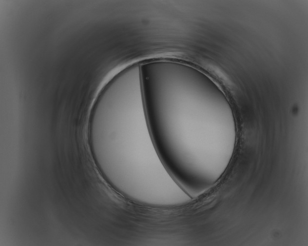 X0000094801324200711160931