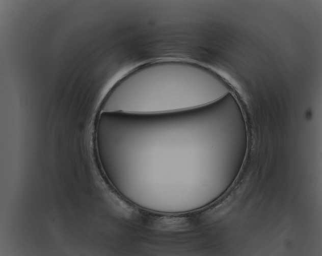 X0000094801325200711160931