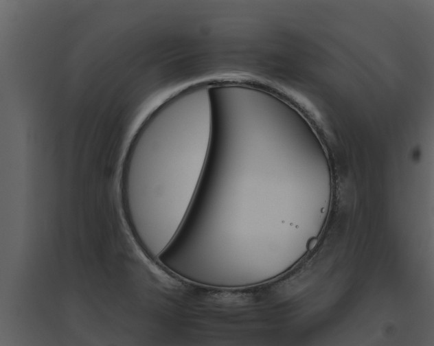 X0000094801327200711160931
