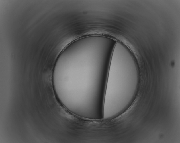 X0000094801329200711160931