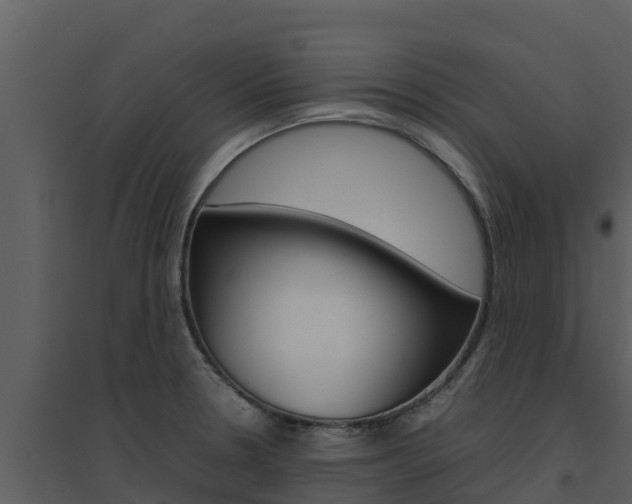 X0000094801330200711160931