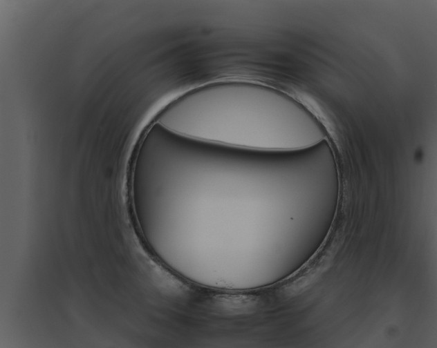 X0000094801331200711160931