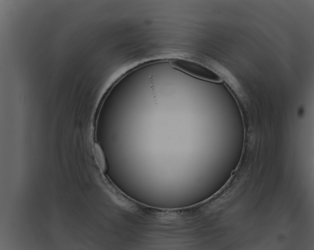X0000094801332200711160931