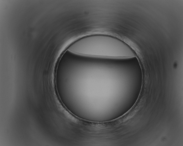 X0000094801334200711160931