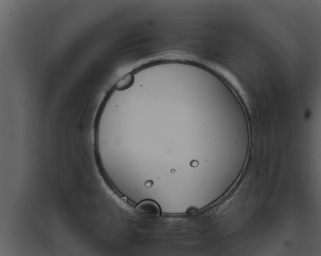 X0000094801335200711160931