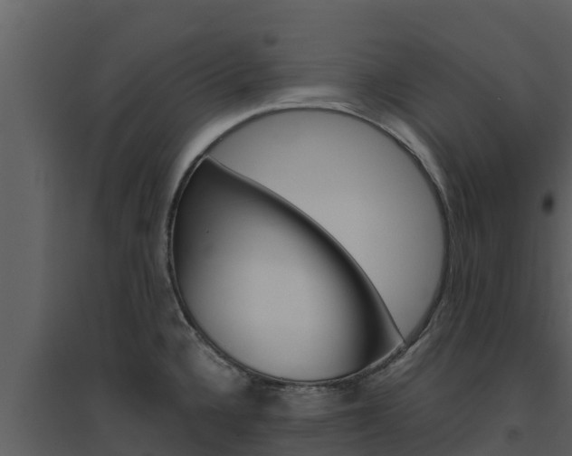 X0000094801336200711160931