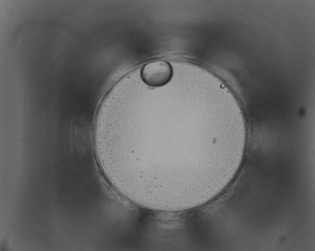 X0000094801338200711160931