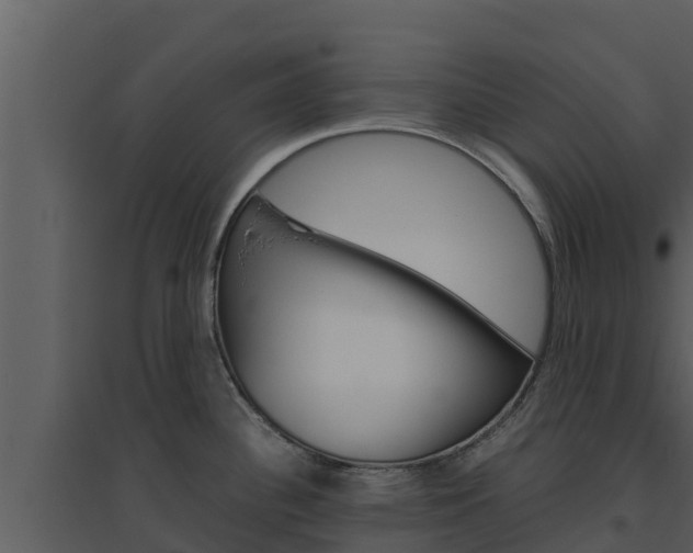 X0000094801340200711160931