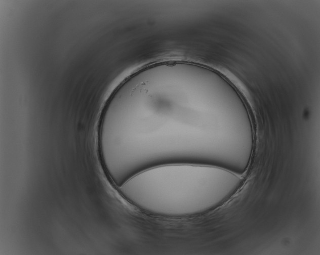 X0000094801341200711160931