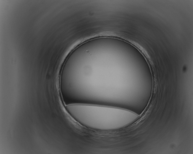 X0000094801342200711160931