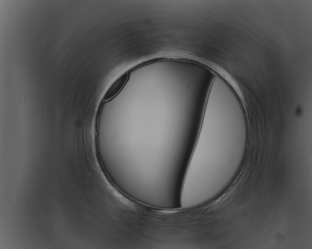 X0000094801343200711160931