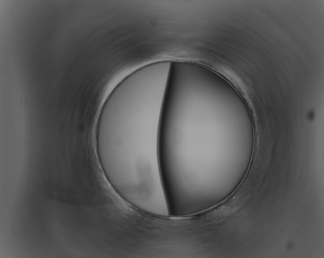 X0000094801344200711160931
