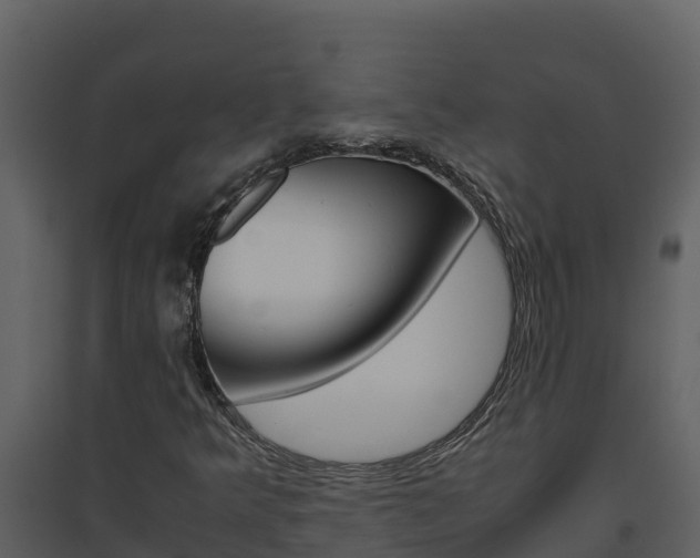 X0000094801349200711160930