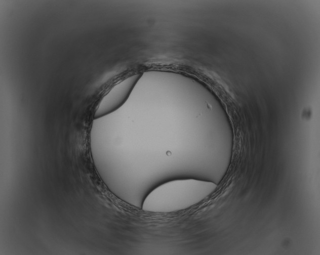X0000094801350200711160930