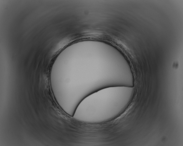X0000094801354200711160930