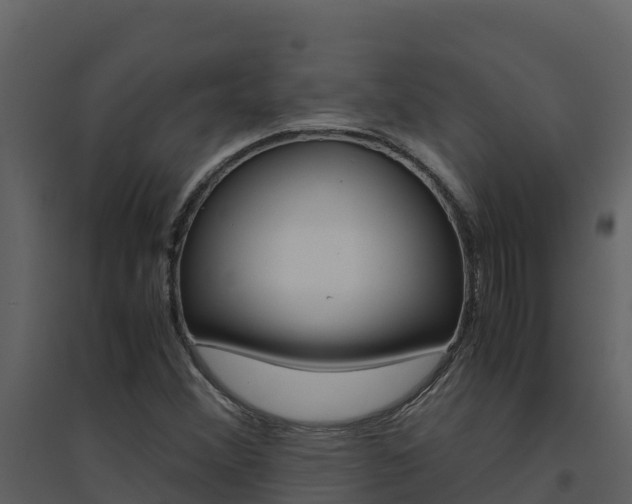 X0000094801356200711160930