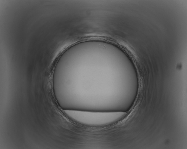 X0000094801357200711160930