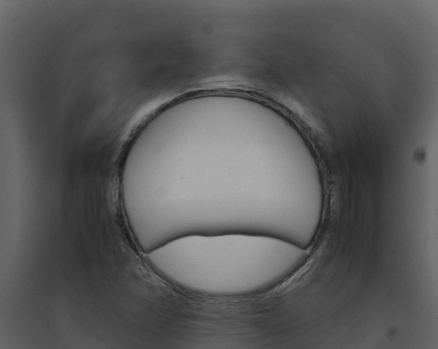 X0000094801358200711160930