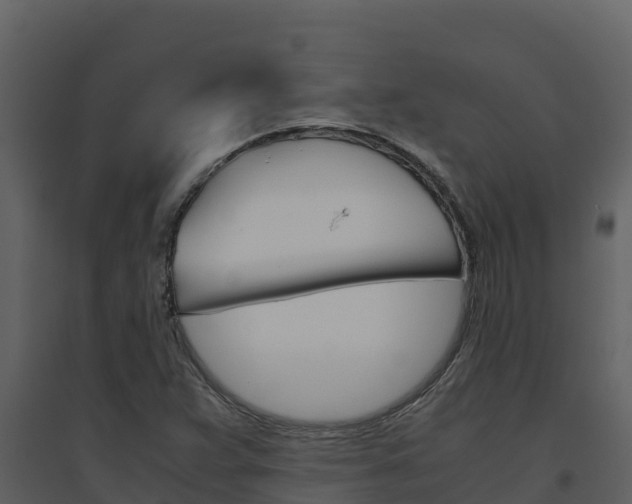 X0000094801359200711160930