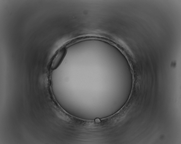 X0000094801360200711160930