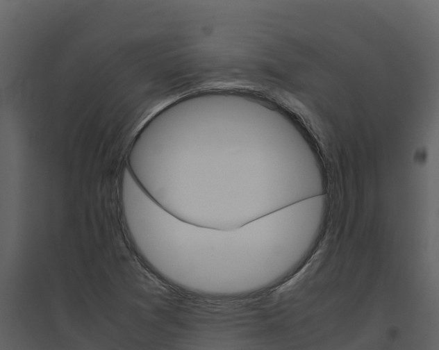 X0000094801361200711160930