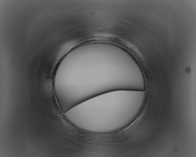 X0000094801362200711160930