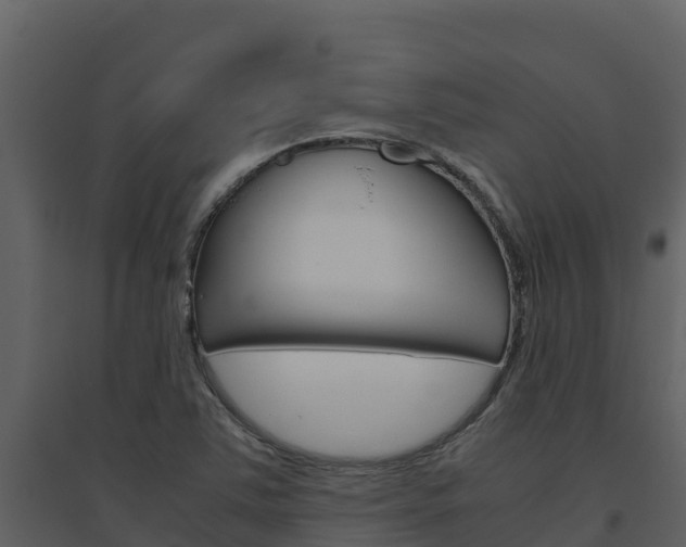 X0000094801363200711160930