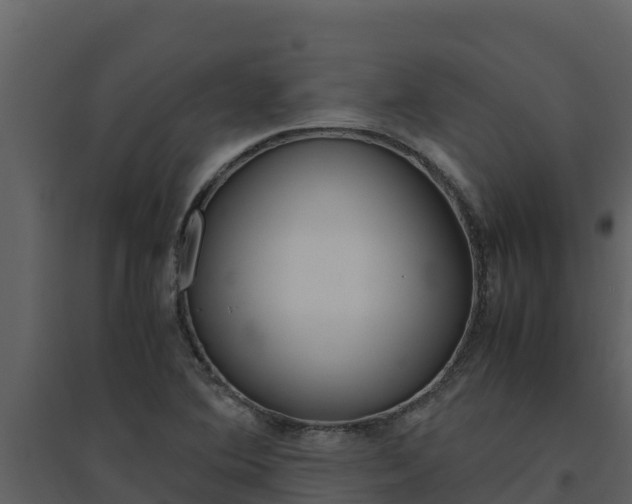 X0000094801364200711160930