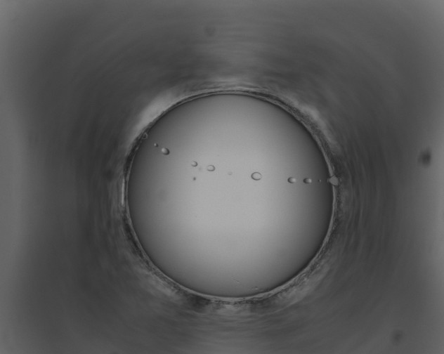 X0000094801365200711160930