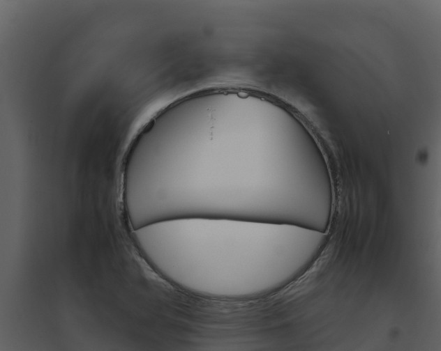 X0000094801366200711160930